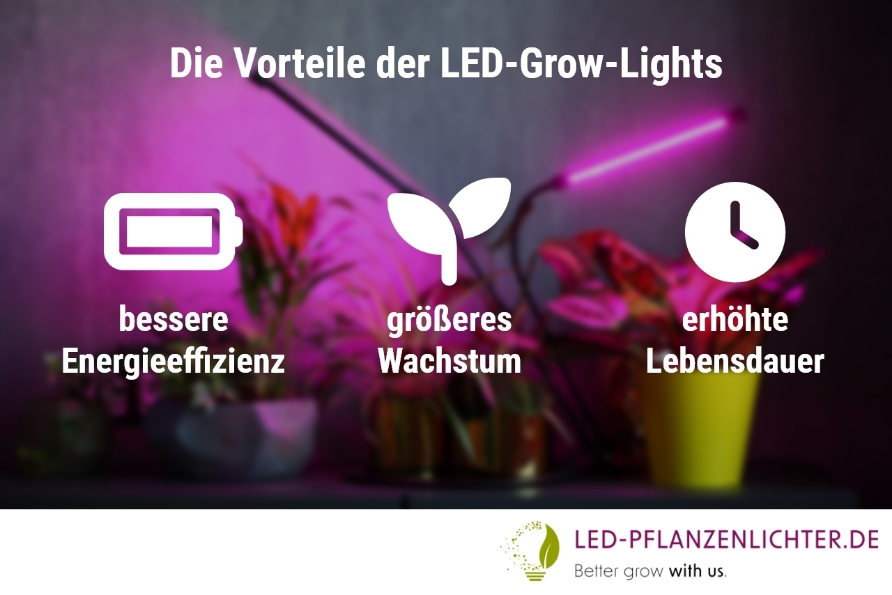Vorteile, LED-Grow-Lights
